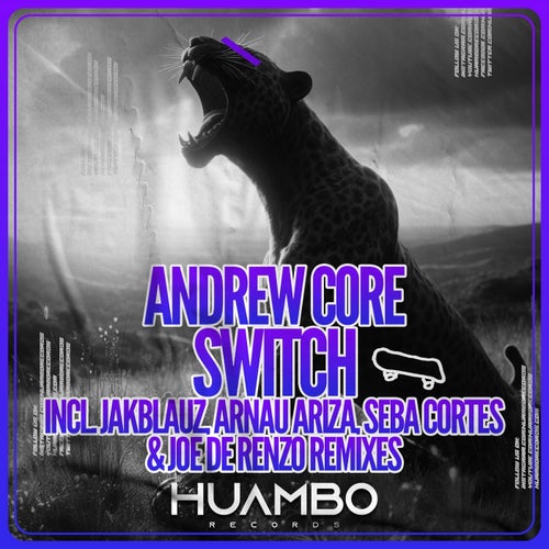 Cover art for Switch