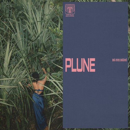 plune