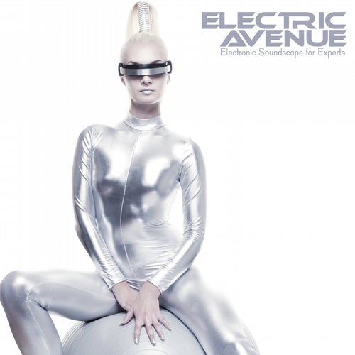 Electric Avenue: Electronic Soundscape for Experts