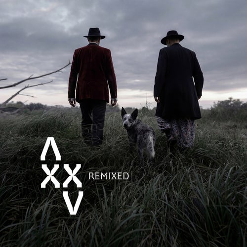 Xxv Remixed