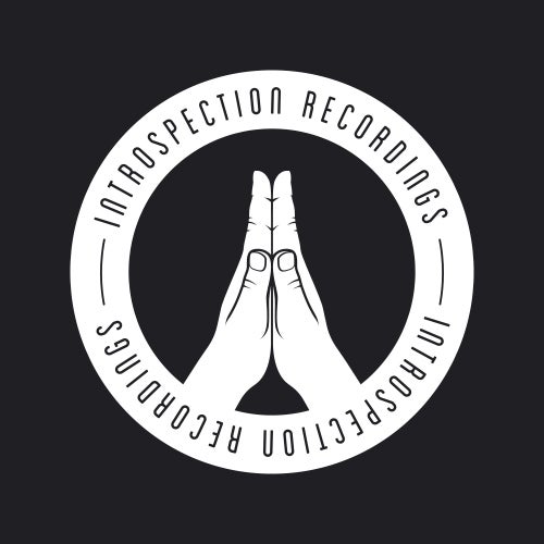 Introspection Recordings