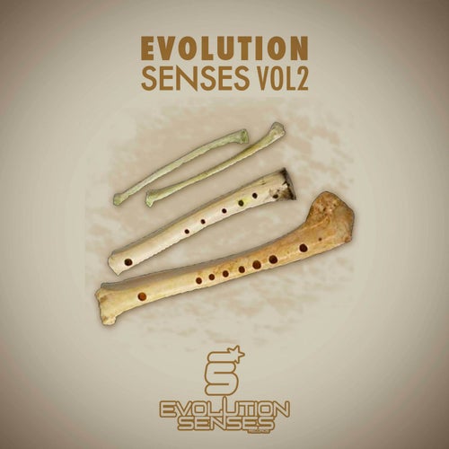 Evolution Senses Vol2