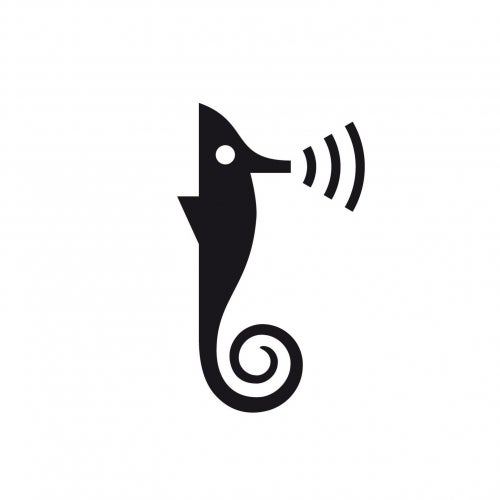 Hippocampe Song