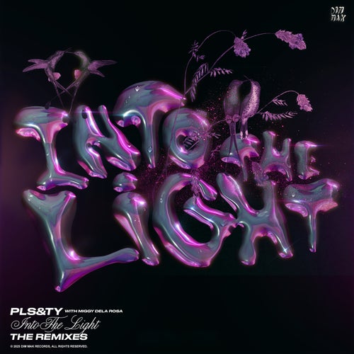 Into The Light - Extended Remixes