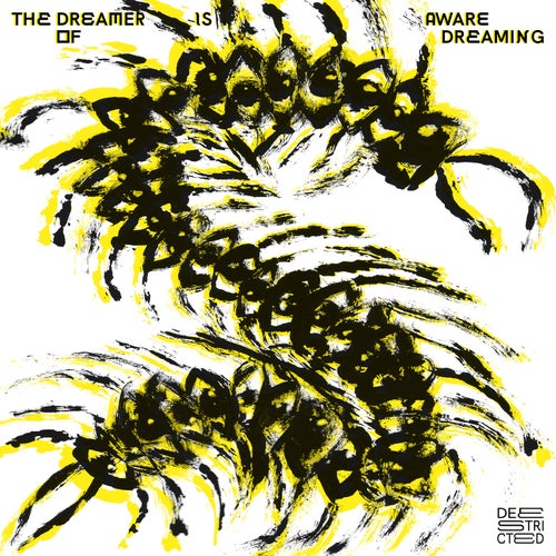 Cover art for The Dreamer Is Aware Of Dreaming