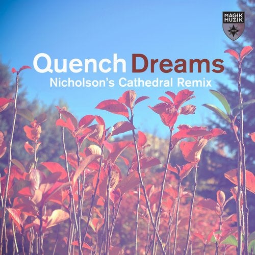 Cover art for Dreams