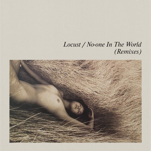 No-One In The World (Remixes)