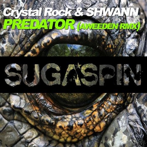Cover art for Predator (Aweeden Remix)