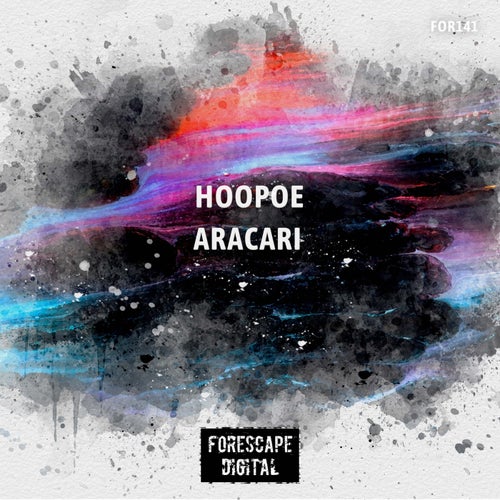  Hoopoe - Aracari (2024) 