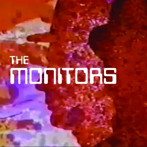 The Monitors