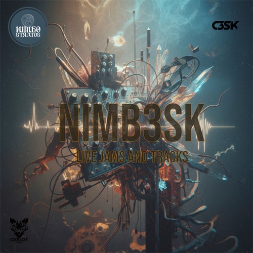 Nimb3Sk Live Jams and Tracks