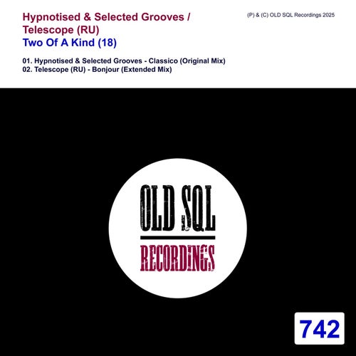  Hypnotised Vs. Selected Grooves - Two Of A Kind (18) (2025) 