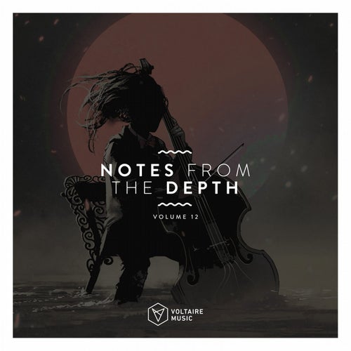 Notes From The Depth Vol. 12
