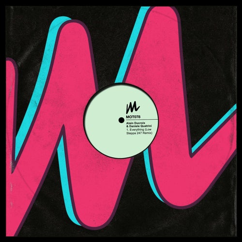 Cover art for Everything (Low Steppa 247 Remix)