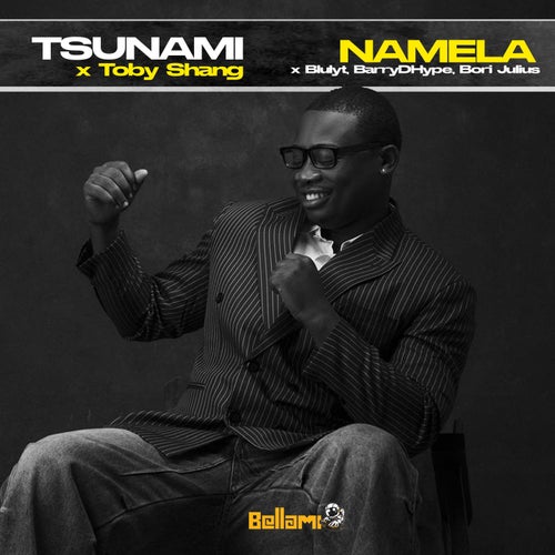 Tsunami / Namela (feat. Blulyt)