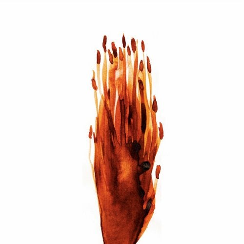 Cover art for Trackz