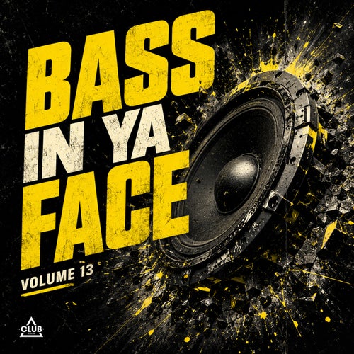 Bass In Ya Face Vol. 13