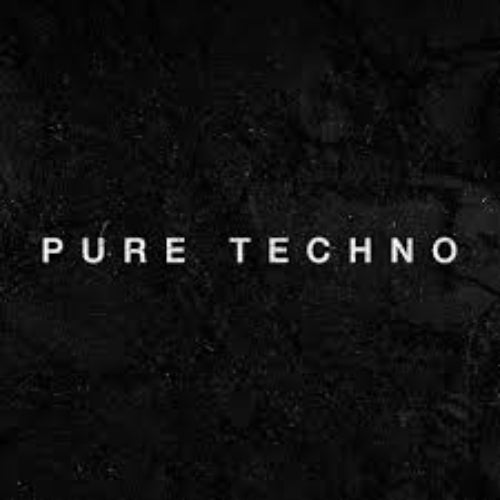 pure techno summer 2k20