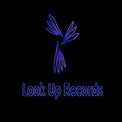 Look Up Records
