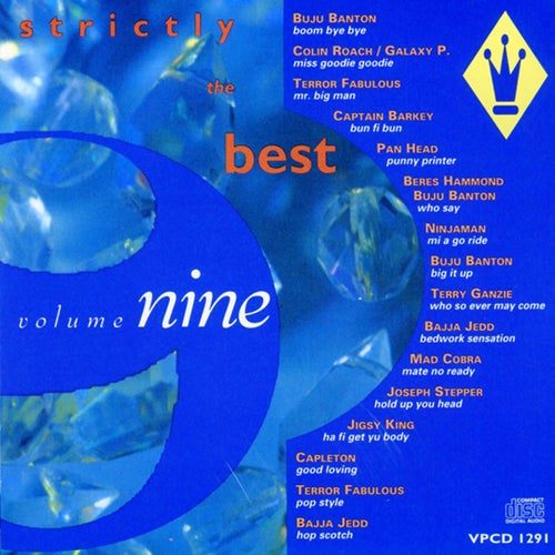 Strictly The Best Vol. 9