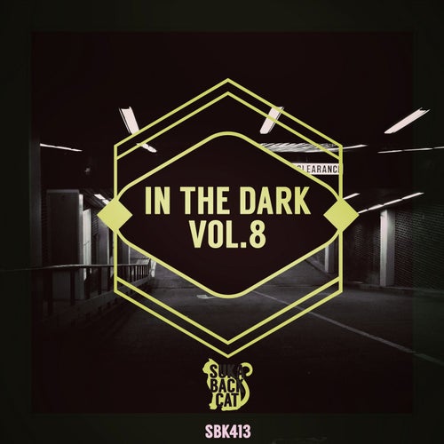 In the Dark, Vol.8