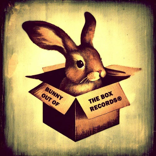 Bunny Out Of The Box Records