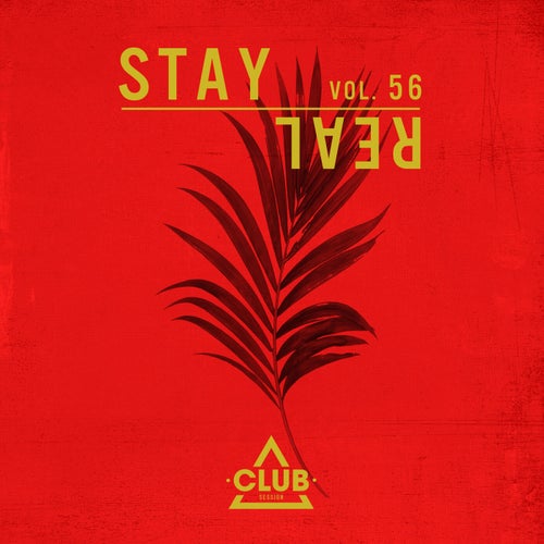 Stay Real, Vol. 56