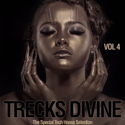 Trecks Divine, Vol. 4 (The Special Tech House Selection)