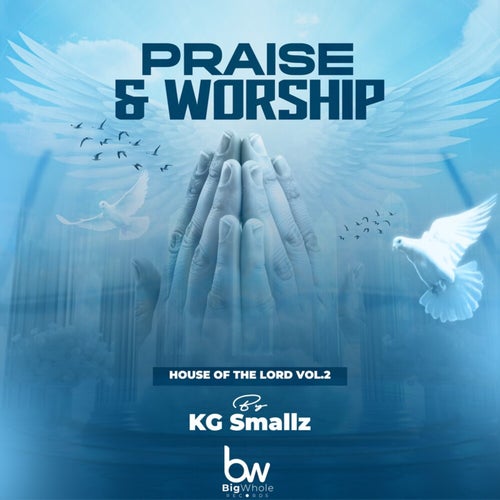 Praise & Worship (House Of The Lord, Vol. 2)