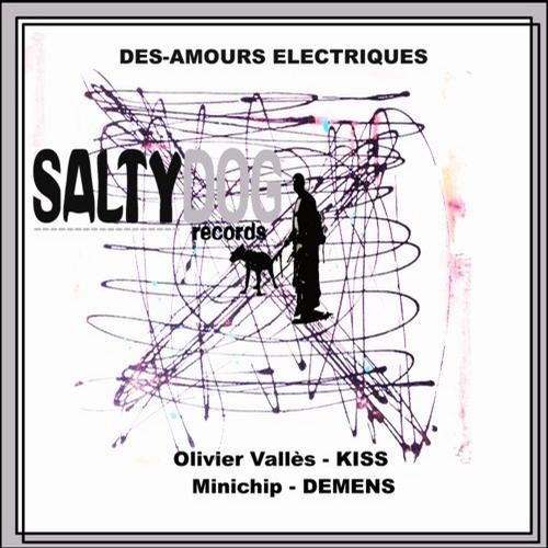 Des-Amours Electriques