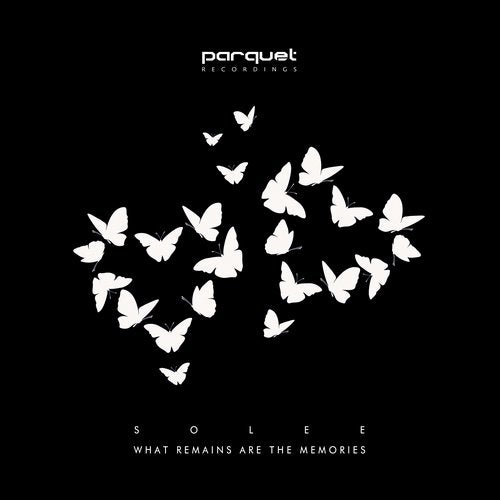Cover art for What Remains Are the Memories