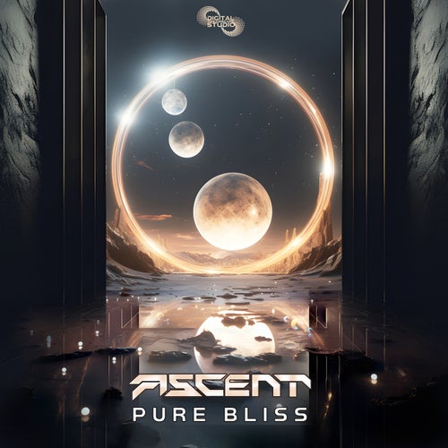  Ascent - Pure Bliss (2024) 