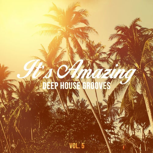 It's Amazing - Deep House Grooves, Vol. 5