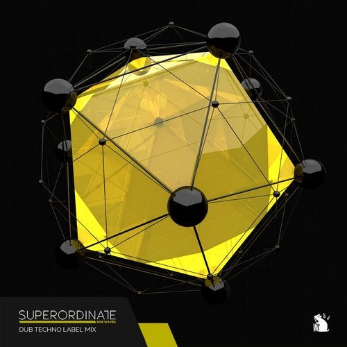 Cover art for DubTechno Mix