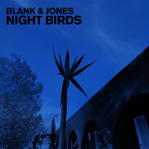 Night Birds