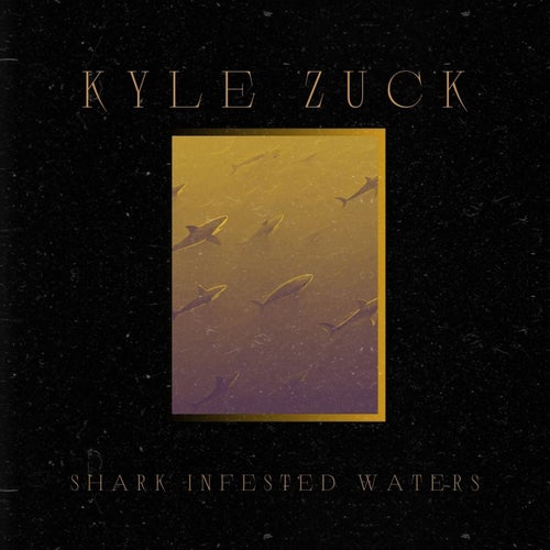 Shark Infested Waters