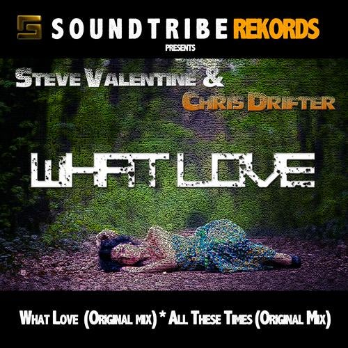 Steve Valentine & Chris Drifter - What Love EP