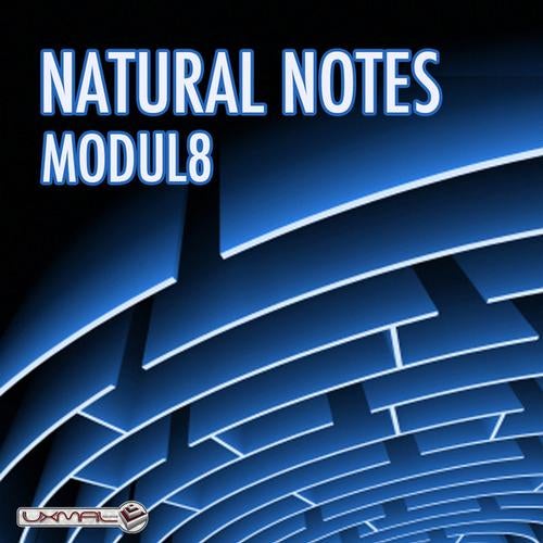 Modul8