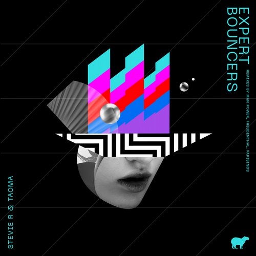 Cover art for Expert Bouncers