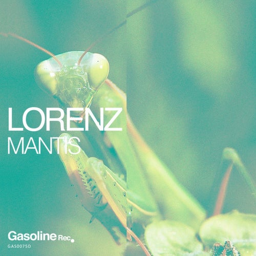 Mantis