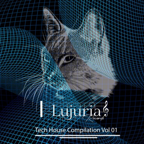 Tech House Compilation Vol 01
