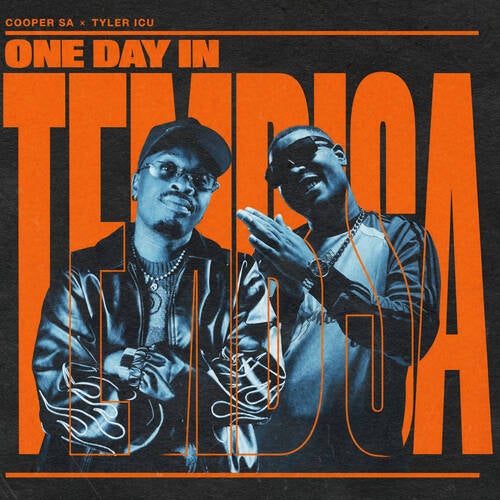 One Day in Tembisa