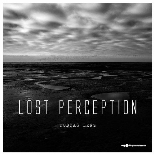 Lost Perception
