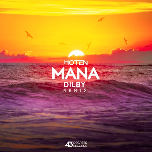Cover art for Mana Remix