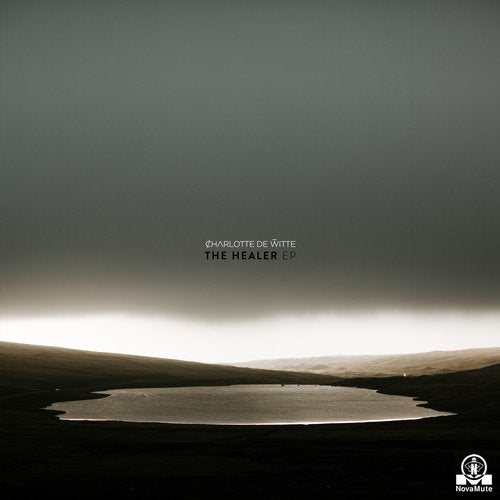 Cover art for The Healer