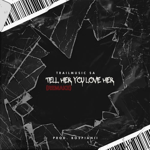 Tell Her You Love Her (Remake)