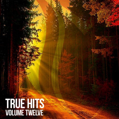 True Hits, Vol. 12