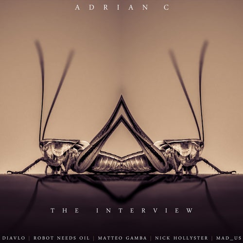The Interview