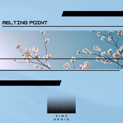 Melting Point
