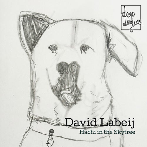 Hachi in the Skytree